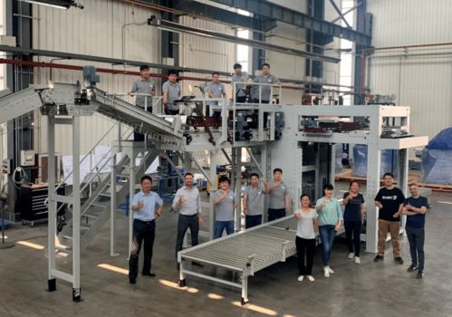 效率更高服務(wù)更方便 哈沃科技haver碼垛機(jī)實(shí)現(xiàn)國產(chǎn)化